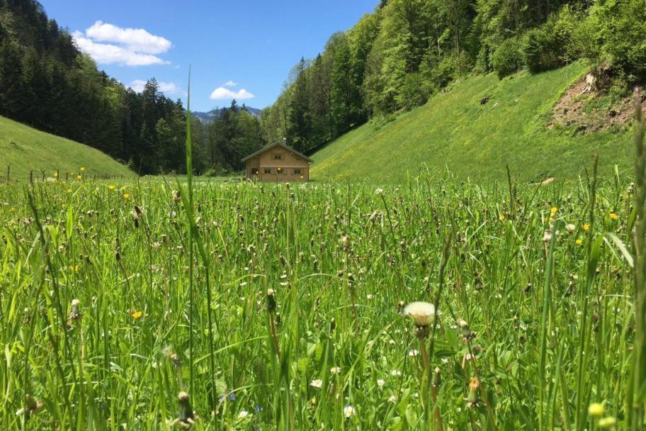 Villa Ferienhaus Rimsgrund à Bezau Extérieur photo